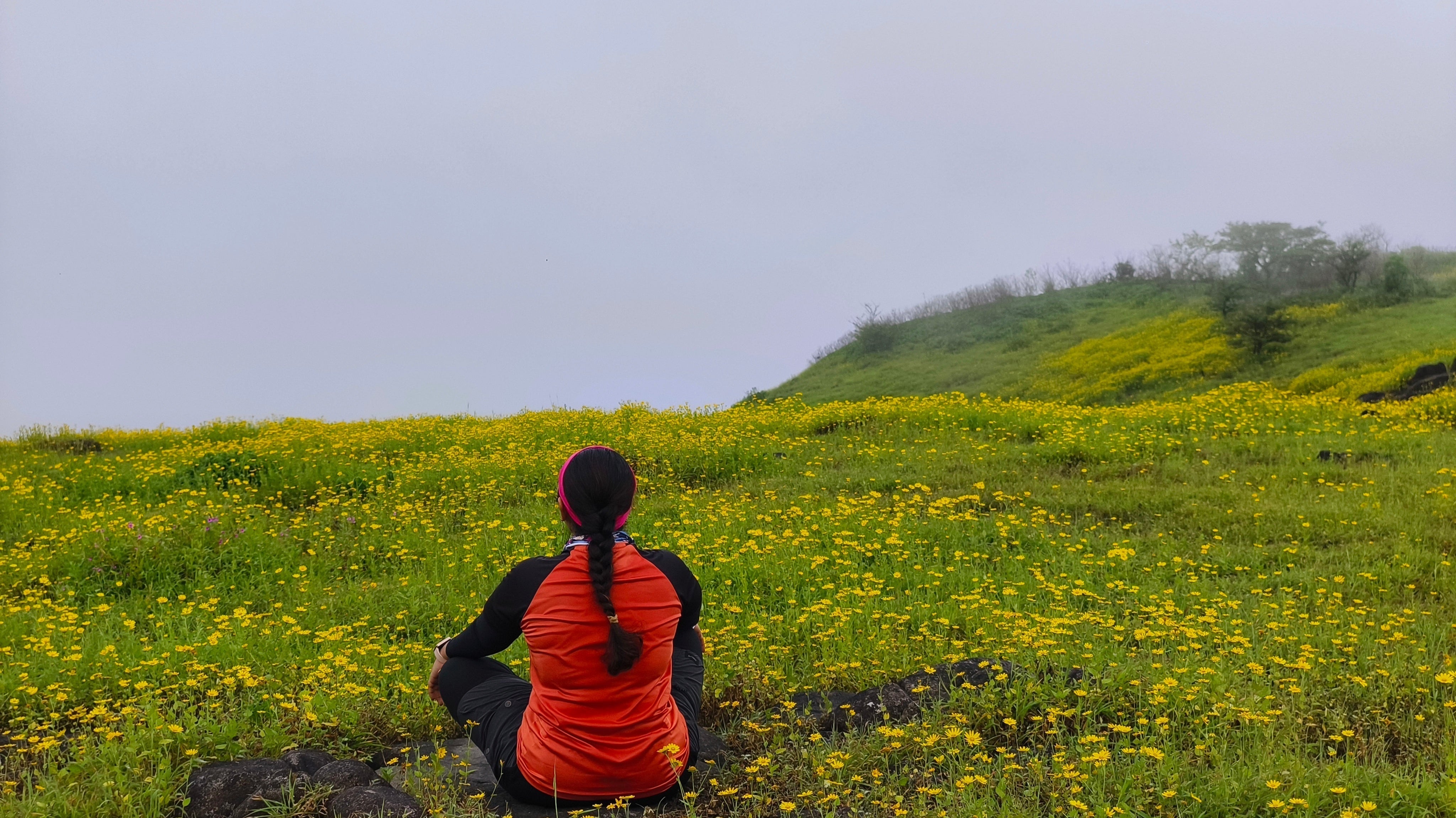 Grand Meadows Trek of Maharashtra - A Trekking Journey for the Bold and the Curious - by Santosh Kardak