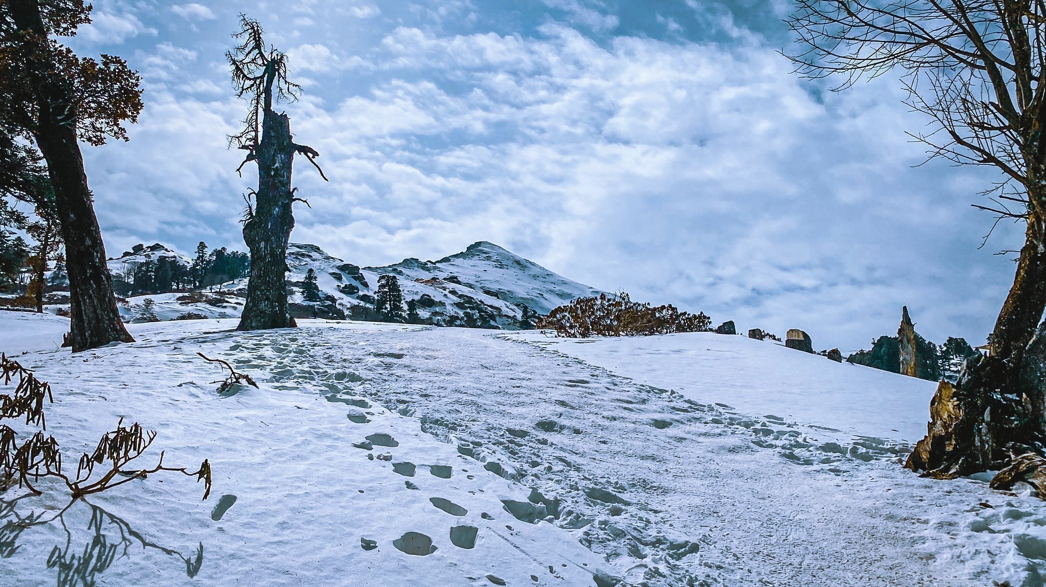 Kedarkantha Solo Winter Trek (Feb 2025): A Certified Mountaineer’s Experience & Beginner Tips