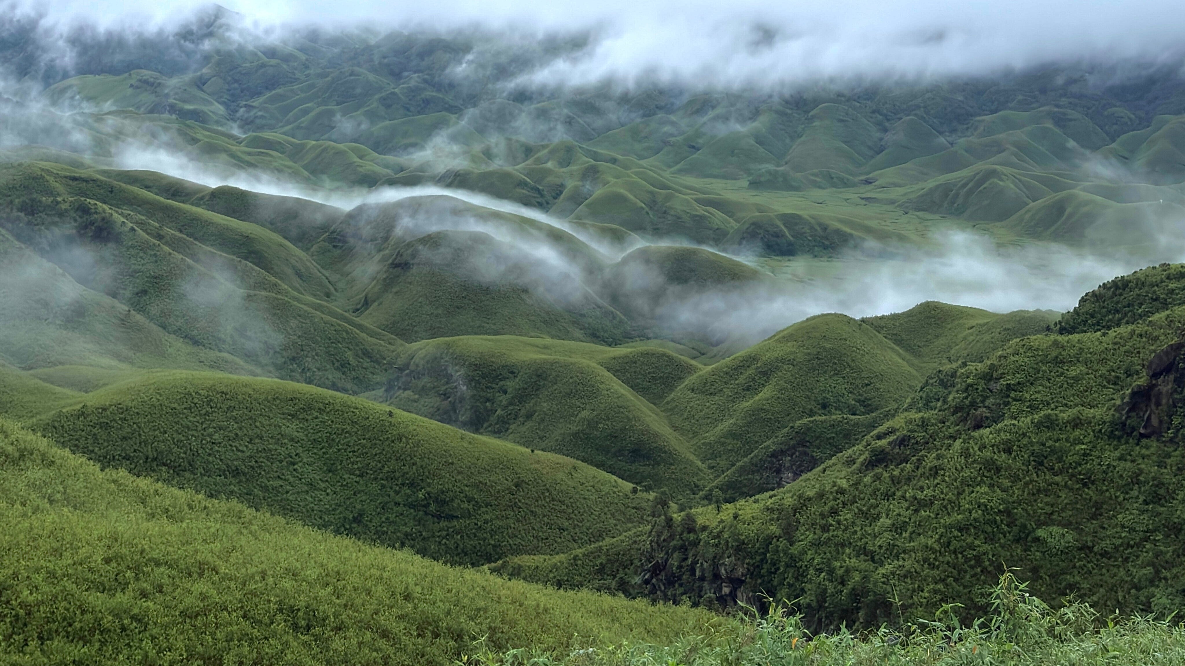 Where Clouds Meet Blossoms – My Journey Through Dzukou, The Valley of Flowers of the East