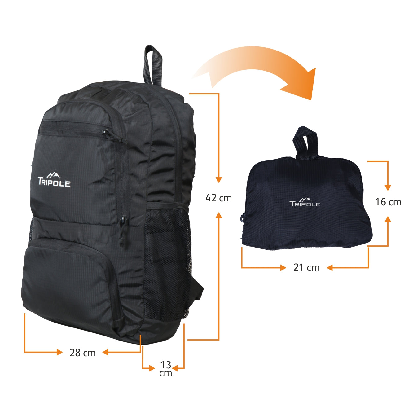 Tripole Foldable Black Dimensions - 20 Litre Day Bag Backpack Trekking Daily Use