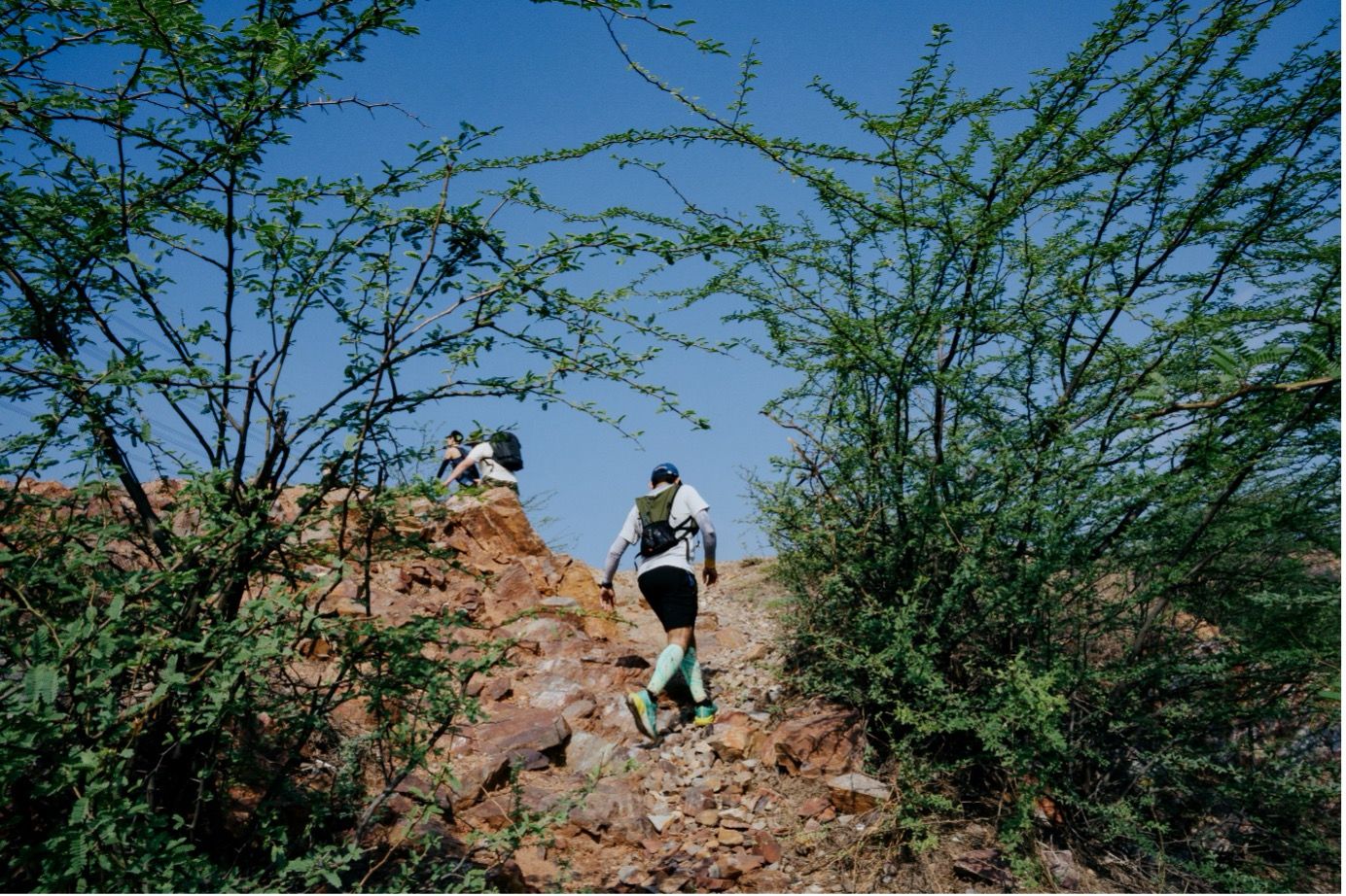PANIKOT By CapitalTrails - A Journey Through Thorns and Strength