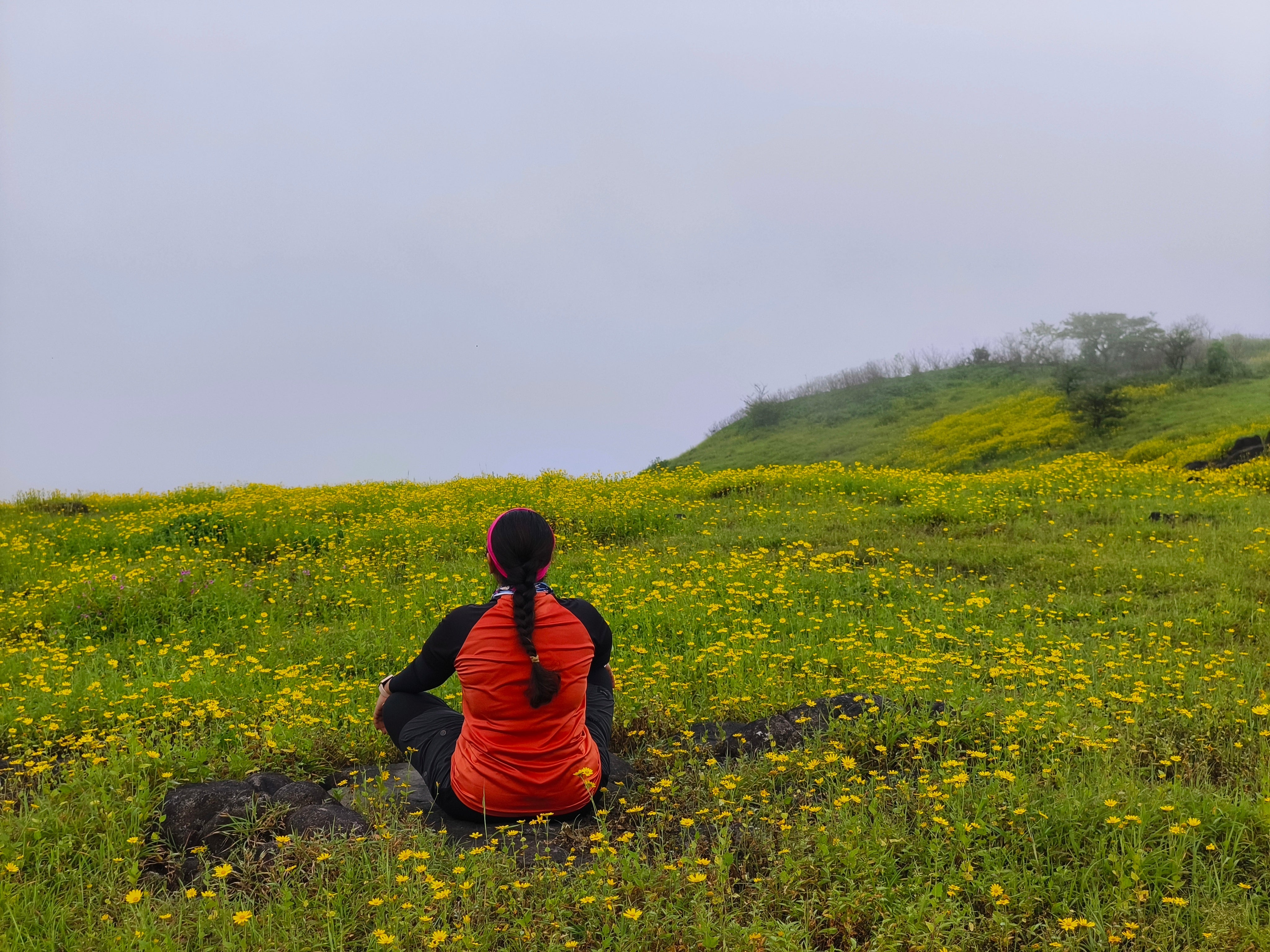 Grand Meadows Trek of Maharashtra - A Trekking Journey for the Bold and the Curious - by Santosh Kardak