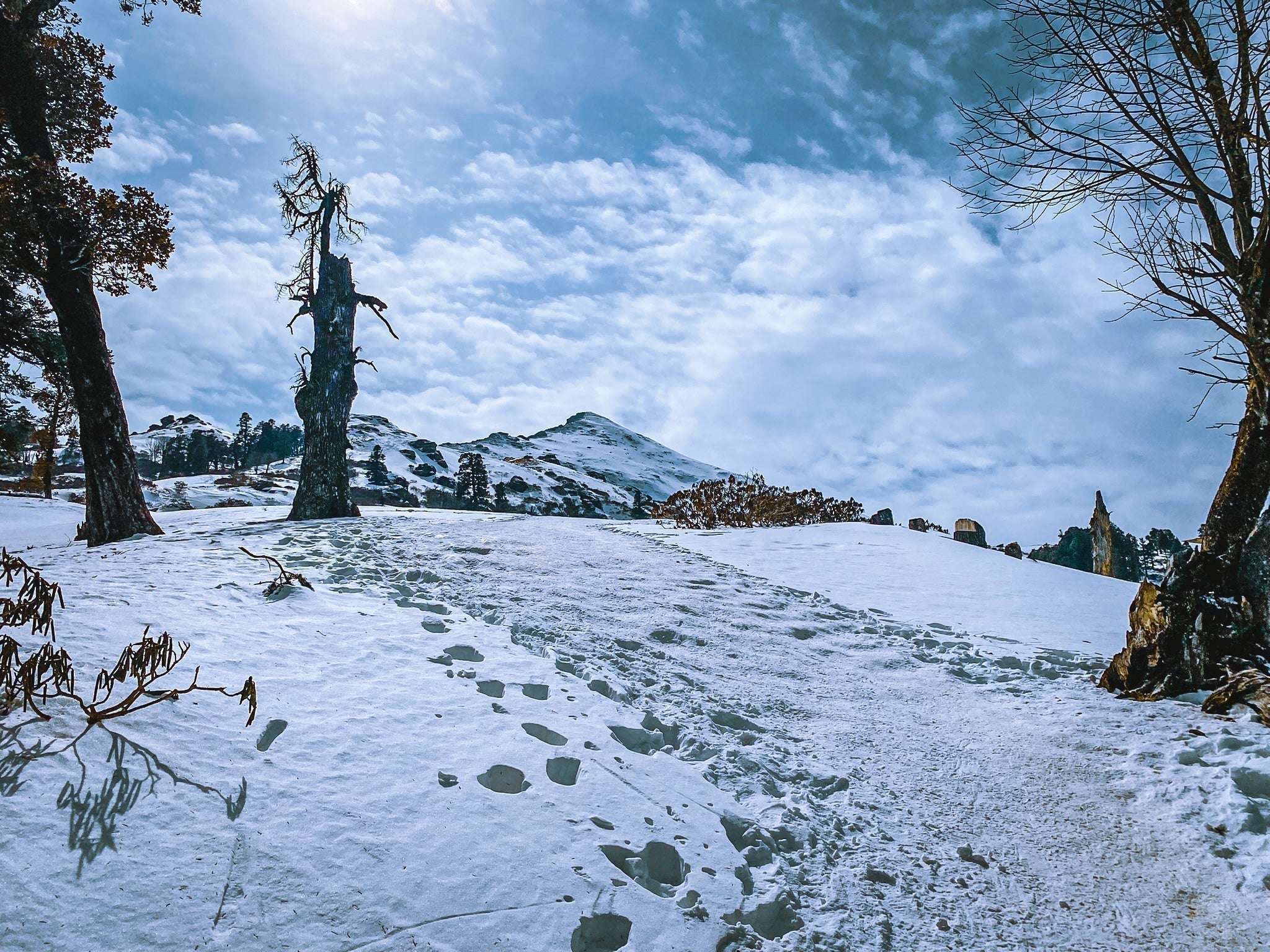 Kedarkantha Solo Winter Trek (Feb 2025): A Certified Mountaineer’s Experience & Beginner Tips