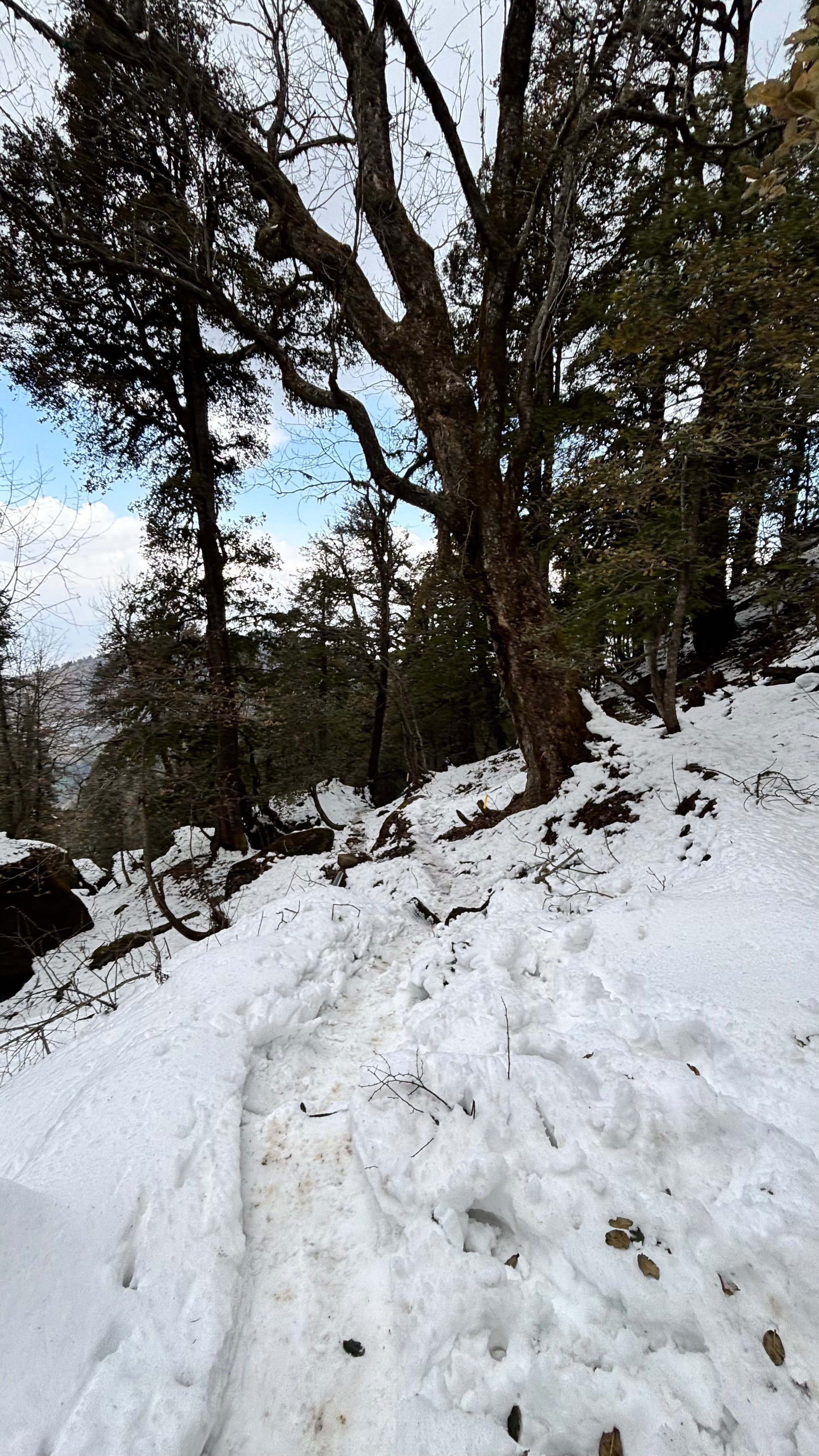 srut silk route ultra snow section tripole