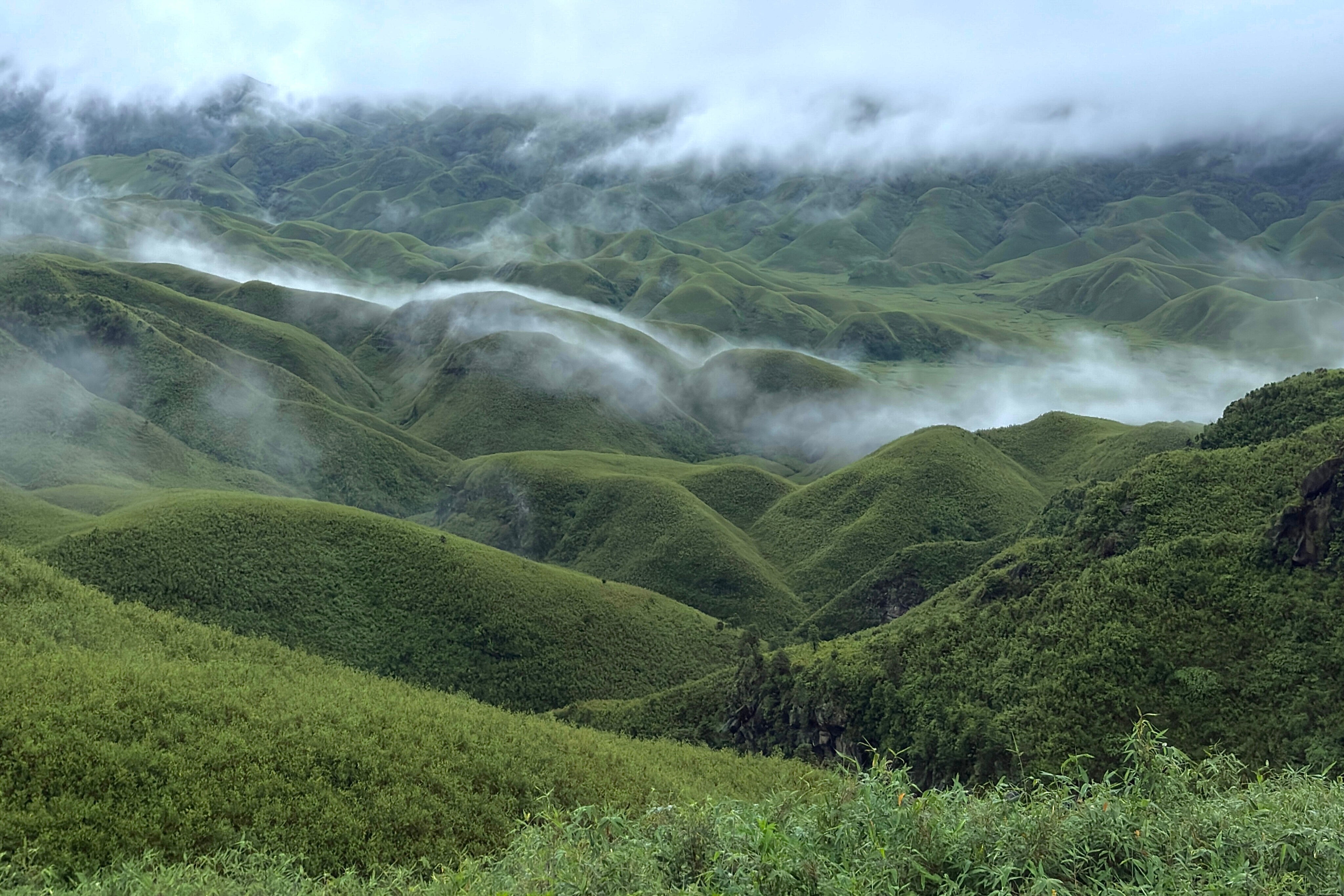 Where Clouds Meet Blossoms – My Journey Through Dzukou, The Valley of Flowers of the East